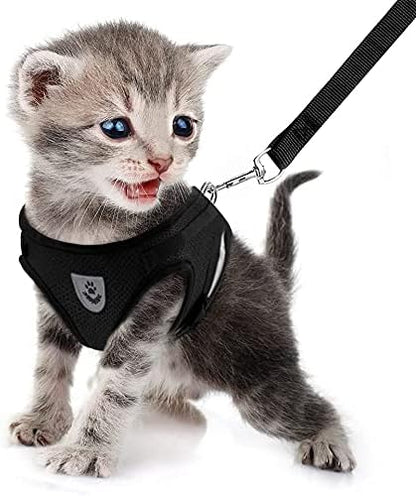 FEimaX Dog Harness and Leash Set for Walking, Soft Mesh Adjustable Easy Control Lightweight Cat Vest Harnesses with Reflective Strips, Escape Proof Small Dogs Cats Vests (Black, X-Small)