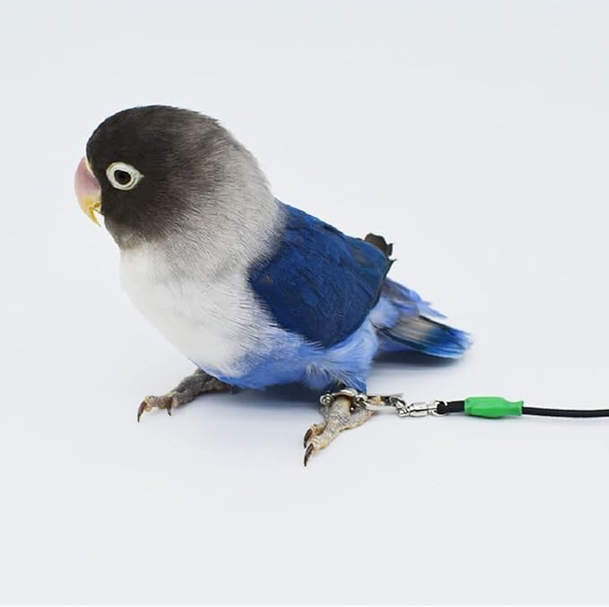 Bird Foot Chain with Flying Latex Elastic Training Rope Outdoor Parrot Ankle Foot Ring Accessories Bird Harness Leash Prevent Escaping (Model7-With 78.7inch Leash)