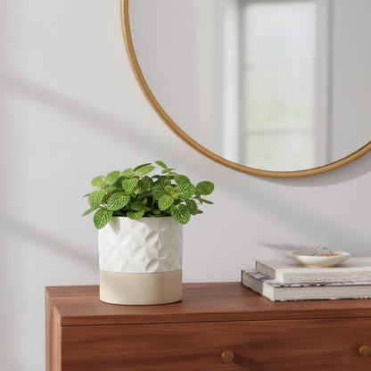 Nihow Self Watering Plant Pot: 4.5 Inch Ceramic Planter with Drainage Hole & Water Storage Plus for Indoor & Outdoor Plants - Cylinder Flower Pot for Herbs/Violets - Matte White & Brown Star