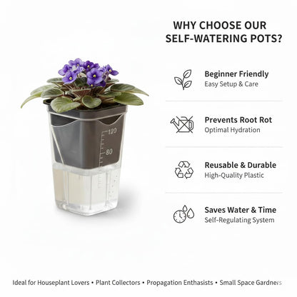 12 Pack 2" Clear Self Watering Pots with Wick System, Water Level Indicator & Drainage Hole, Consistent Moisture for Seedlings, Cuttings, Alocasia Corm & African Violet, 12 Plant Labels Included