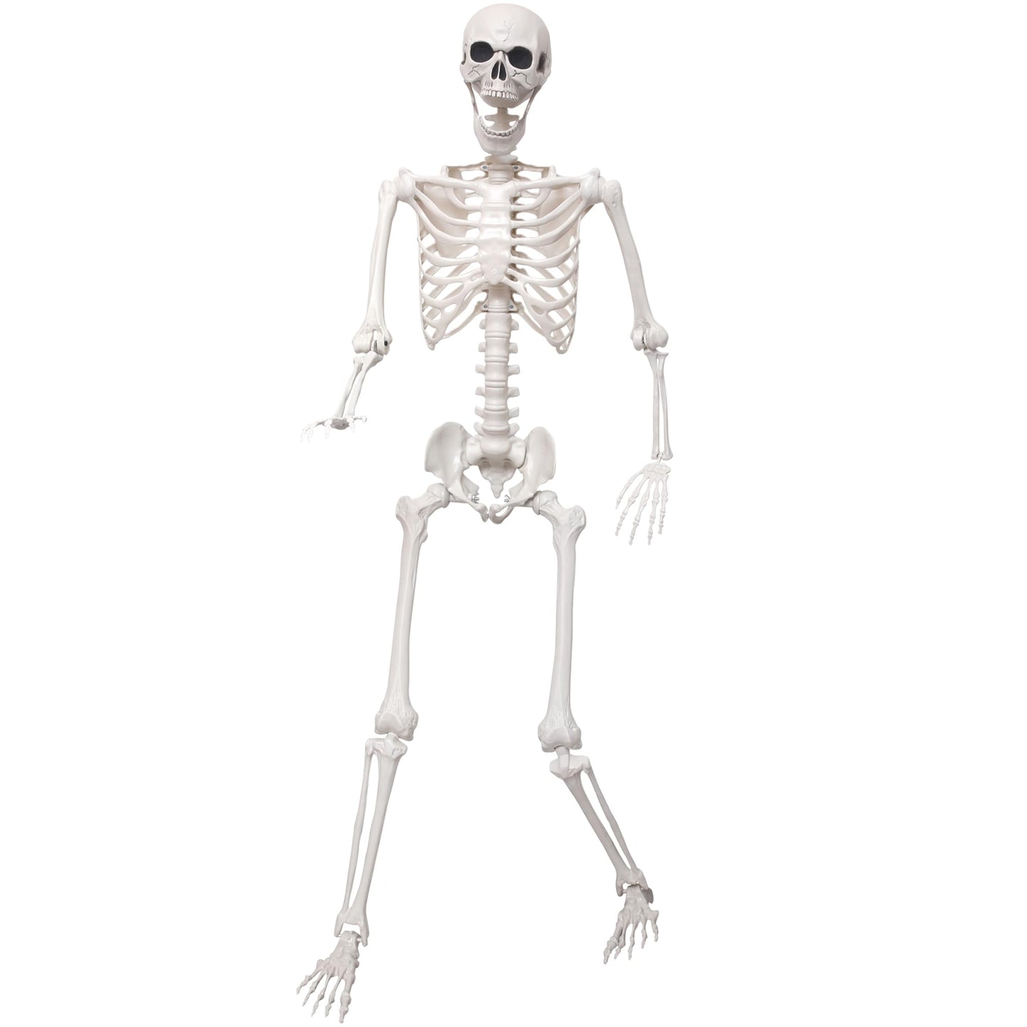 SHOCOSTO 5.4Ft Giant Skeleton Life Size Human Bones with Movable Joints for Halloween Props Decorations