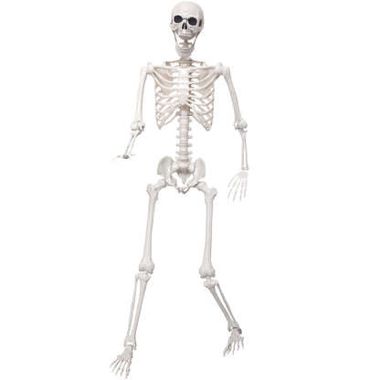 SHOCOSTO 5.4Ft Giant Skeleton Life Size Human Bones with Movable Joints for Halloween Props Decorations