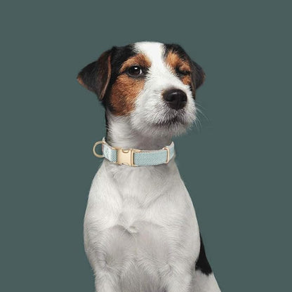 Soft Dog Collar and Leash Set Adjustable Woven Twilled Dog Collars with Metal Buckle and Lead for Small Medium Large Dogs,Blue