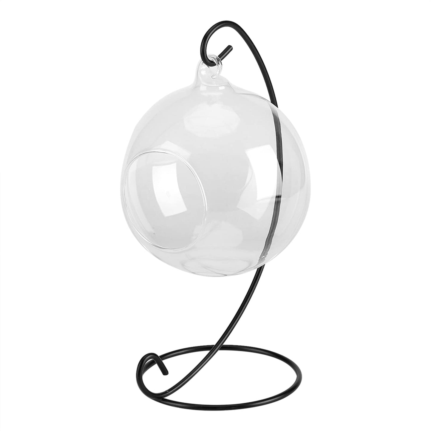Vistreck Elegant Hanging Glass Vase Terrarium with Iron Frame for Air Plants and Succulents