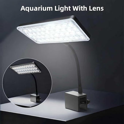 Vimvins 10 Gallon Glass Small Fish Tank with Filter Light and Lid, Aquarium Starter Kit