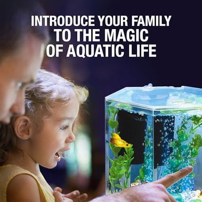 Tetra Bubbling LED Aquarium Kit 1 Gallon, Hexagon Shape, With Color-Changing Light Disc