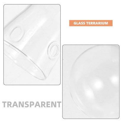 Toddmomy Hydroponic Glass Planters 2-Pack Clear Bulb Vase Accessories for Indoor Plant Propagation Table Centerpiece Home Decor Terrarium Display 3.93X2.75X2.75In
