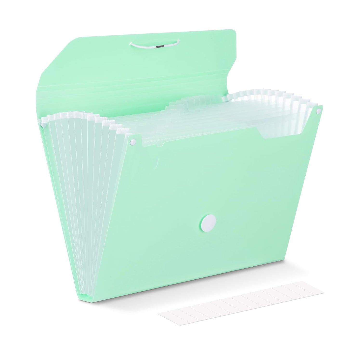Comix Accordion File Organizer, 13 Pocket, Green