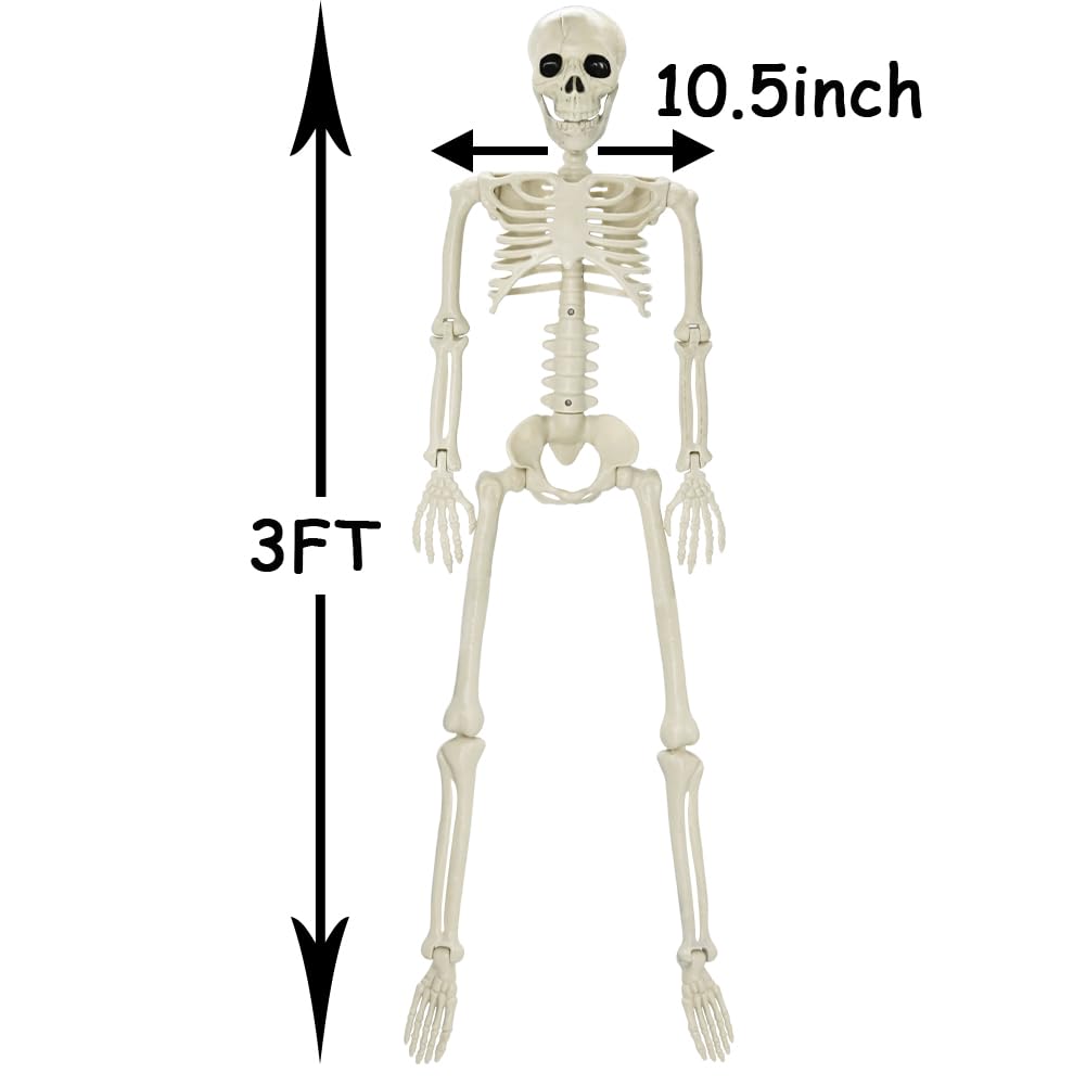 CAMIRUS 3FT Skeleton, 36" Full Body Skeleton with Movable Posable Joints, Realistic Plastic Bones Halloween Prop for Outdoor Haunted House Decorations