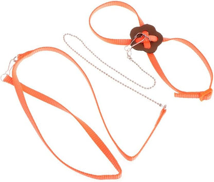 Pet Bird Harness Leash, Adjustable Parrot Flying Rope, Bright Color for Parrots, Pigeons, Lovebird, Outdoor Training, Anti-Flyaway, Green, Purple, Pink, Blue, Orange, 0.8x120cm/0.31x47.24''