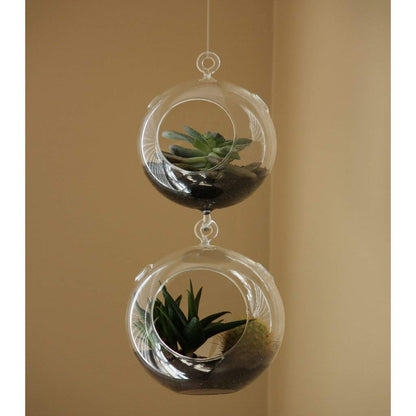 WGV Hanging Terrarium Globe, Width 4", Height 6", Double Hook, DIY Air Succulent Planter, Clear Glass Vase Orb, Candle Holder for Windowsill Outdoor Garden Decor, 1 Piece