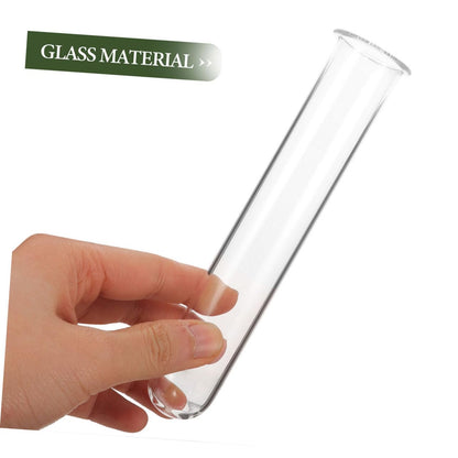 Ciieeo 6pcs Glass Test Tube Vase for Air Plant Terrarium Propagation Jars for Plants Glass Tube Vase Elegant Design for Home Office