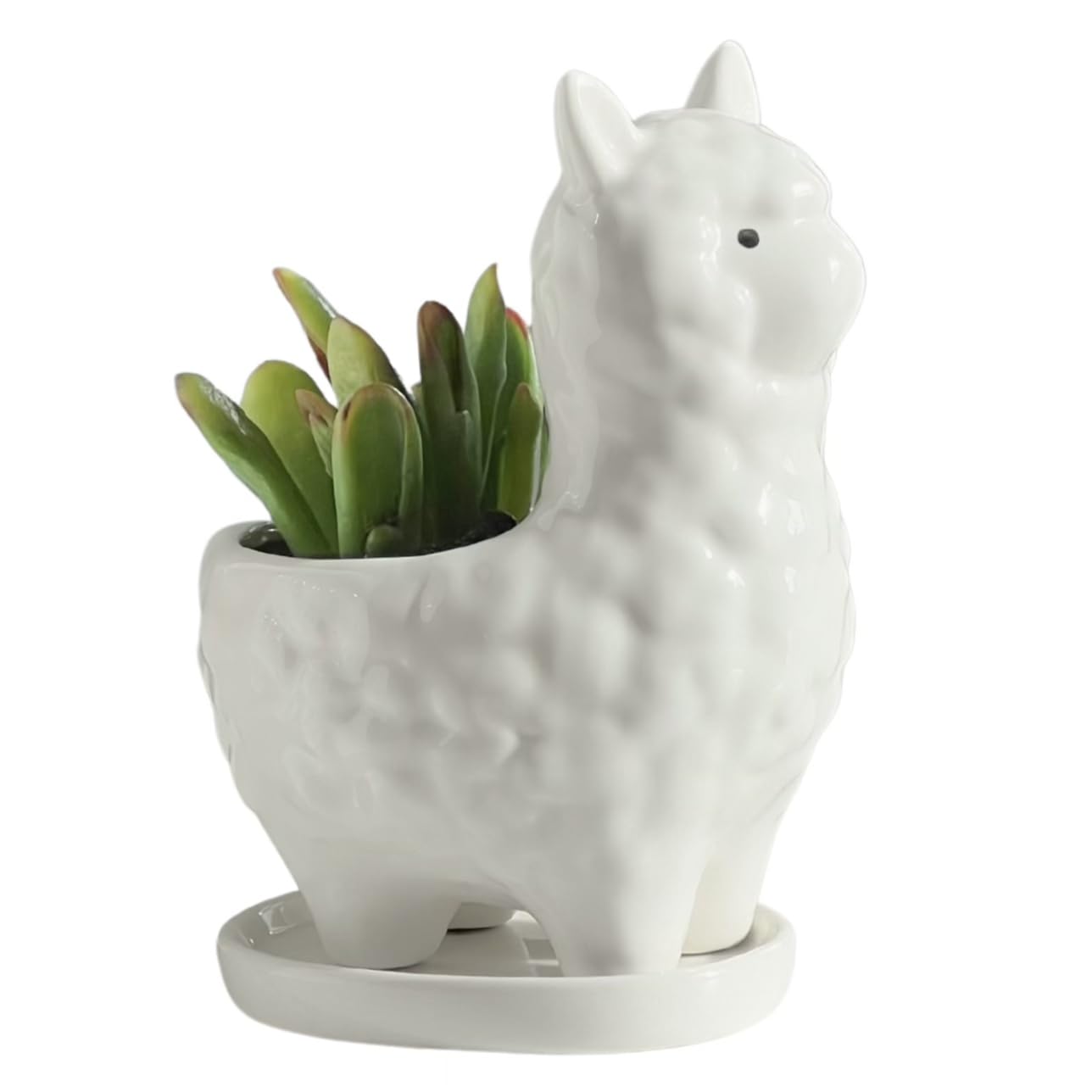 Succulent Planter Pot with Drainage Hole – White Ceramic Animal Pot for Small Plants, Cactus, Flowers – Indoor Outdoor Garden Patio Balcony Decor, Cute Gardening Gift, 6 Inch