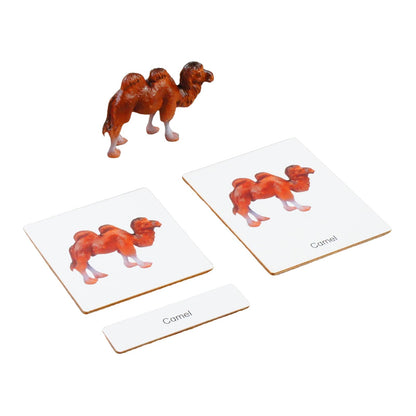 ancona Asian Animals, Spanish/English Bilingual, Montessori Preschool Memory Matching Game Box Set with Animal Figurines & 3-Part Cards, Early Education Toy