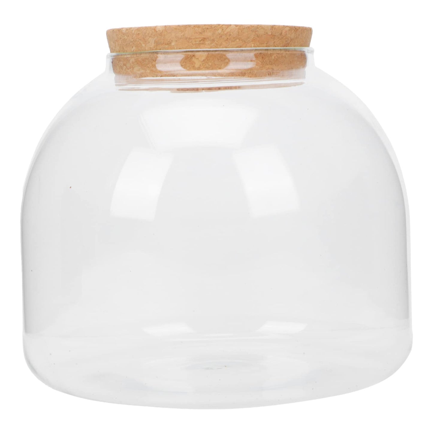HYTROVE Micro Landscape Bottle Terrarium for Plants Creative DIY Desk Decor Simple Glass Ecological Bottle Lid for Indoor Gardening and Home Decoration