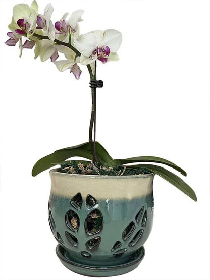 Fowargif 6.5inch Large Round Ceramic Orchid Pots with Holes, Flower Pot with Saucer for Indoor Plants Home Decorative, Round Planter,air Plant Pot