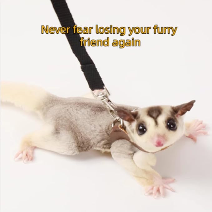 MANON ROSA Sugar Glider Pouch - Small Animal Carrier Bag with Harness Set for Bonding Sling for Reptile Pets Bearded Dragons Lizards Backpack Accessories for Outdoor Travel Walking Resting Red