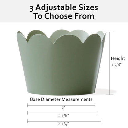 Sage Green Cupcake Wrappers, 36 Count - Dusty Sage Wedding Cupcake Wrappers for Bridal Showers, Baby Showers, and Green Wedding Decorations