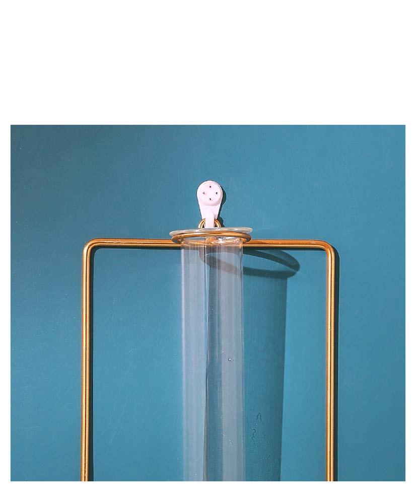 yaocoral Nordic Wall Vase Hanging Geometric Gold Flower Vase Wall Mount Metal Frame Vases Hydroponic Glass Bud Vase Decor for Home Wedding Farmhouse