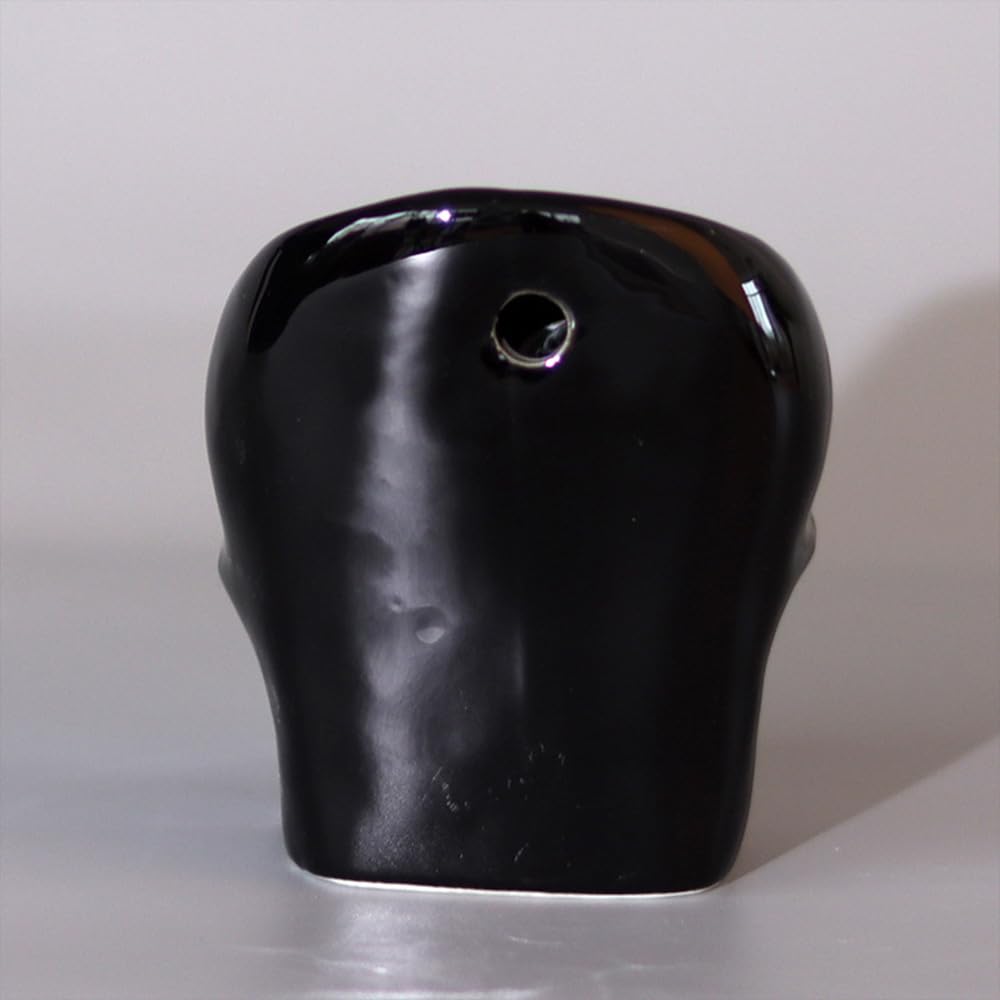 Vitbunana Skull-Shaped Toothbrush Holder, Skull Ceramic Small Storage Tube, Skull Pen Holder, Skull Succulent Flower Pot, Creative Decoration, Wall-Mounted Small Storage Tube (Black Skull)