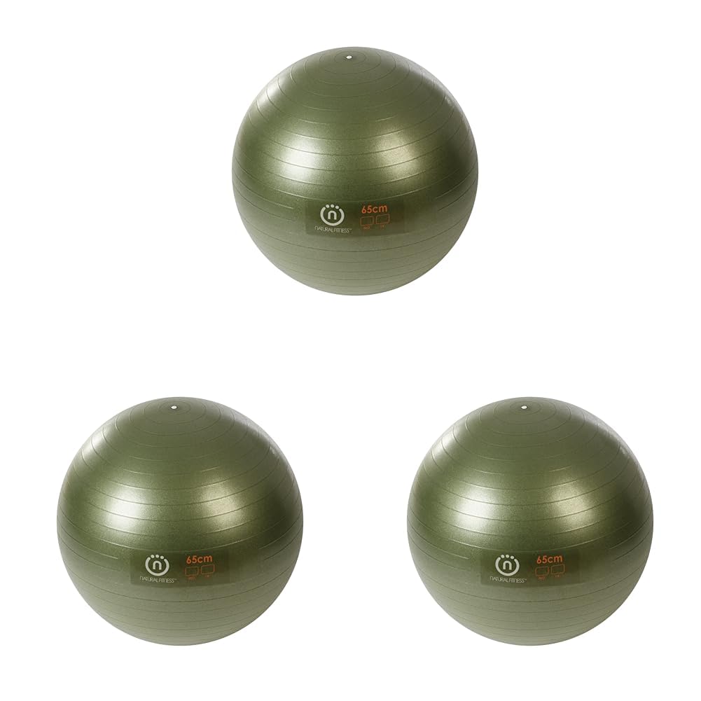 Natural Fitness Burst Resistant Exercise Ball