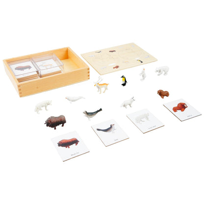 ancona Antarctic Animals, Spanish/English Bilingual, Montessori Preschool Memory Matching Game Box Set with Animal Figurines & 3-Part Cards, Early Education Toy