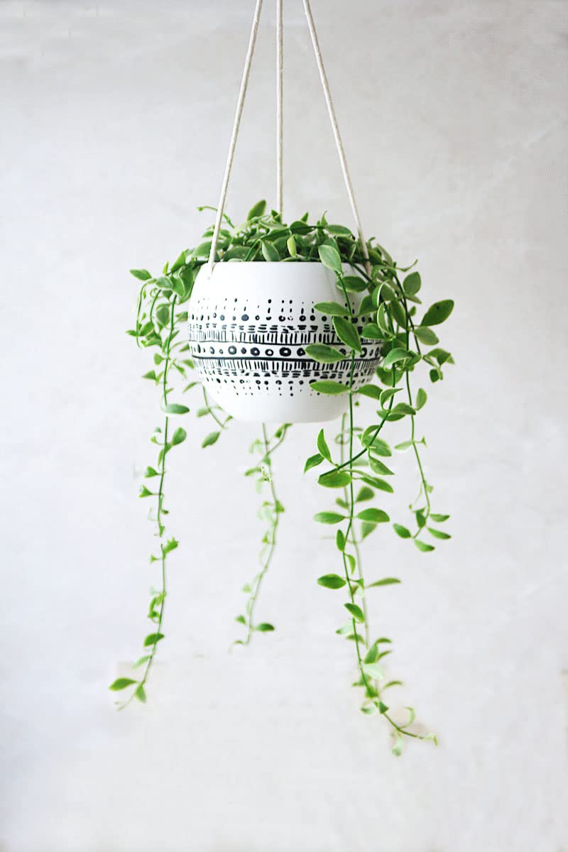 KiaoTime Ceramic Hanging Planter for Indoor Outdoor, Decorative Boho Flower Green Grass Plant Succulent Air Plants Hanging Plant Pots Holder