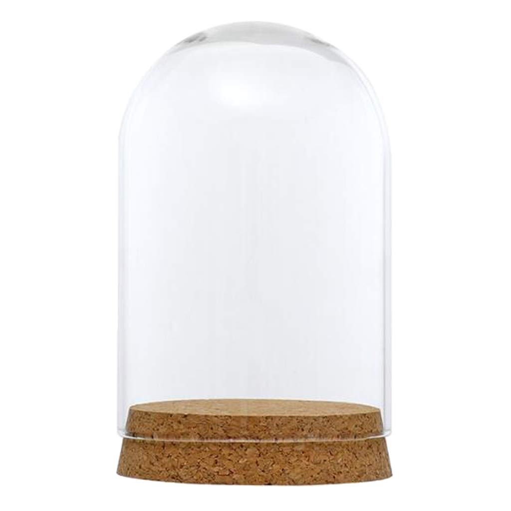 FLAMEER 10Pieces 8x12cm Clear Glass Dome Cover Cloche Bell Jar Succulent Terrariums w/Wooden Cork Base Home Study Room Decor