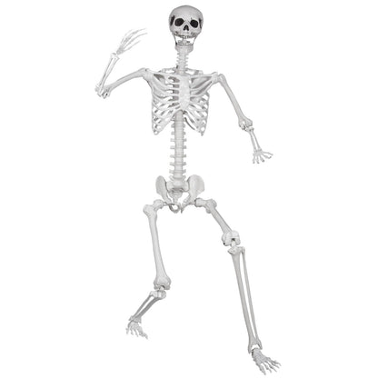LaLamona 5.9ft/180cm Posable Halloween Skeleton, Life Size Skeleton Bones with Movable Joints for Halloween Graveyard Haunted House Spooky Scene Decor, 1pc