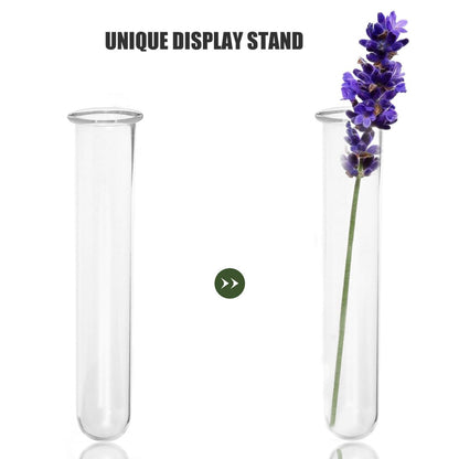 COOLHIYA 4Pcs Glass Test Tube Vases 2.5X18Cm Hydroponic Plant Holder Decorative Desktop Glass Planter Vase for Propagation and Small Terrariums