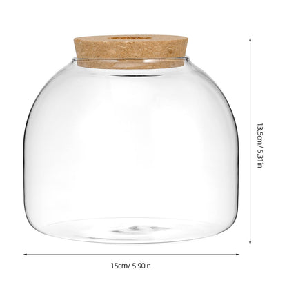 NUOBESTY Glass Terrarium Jar with Cork Lid, Hydroponic Plant Propagation Vase, Clear Round Betta Fish Bowl Tank for Moss Succulent Indoor Desktop Home Decor