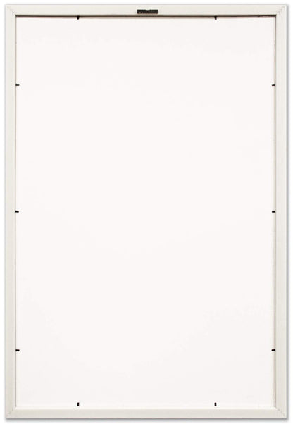 Trends International El Sistema Solar 2013 (Solar System) Wall Poster, 22.375" x 34", Barnwood Framed Version