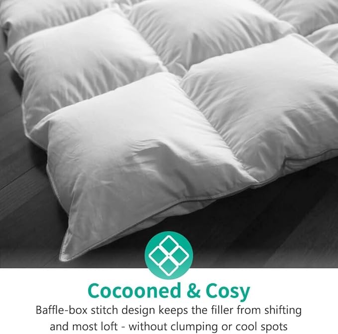 APSMILE Lightweight All-Season Down Feather Fibers Comforter Queen/Full Duvet Insert for Hot Sleepers/Warm Weather- Ultra-Soft High Fill-Power Hotel Collection Comforter, Thin Light Warmth(90"x90")