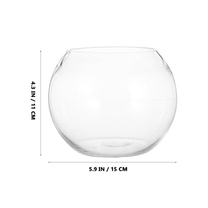 NUOBESTY Bubble Ball Glass Vase 15cm Hydroponic Plant Holder Fish Bowl Terrarium Centerpiece for Home Office Décor