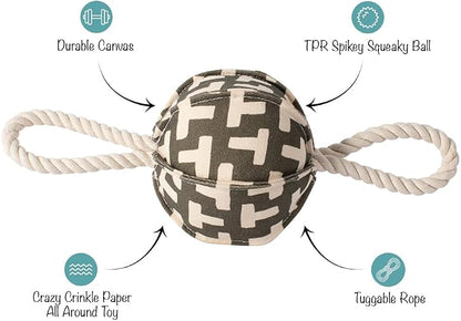 Fringe Studio Pulling You in Odette Olive 3D Canvas Dog Toy with Tuggable Rope, PetShop Collection (523040)