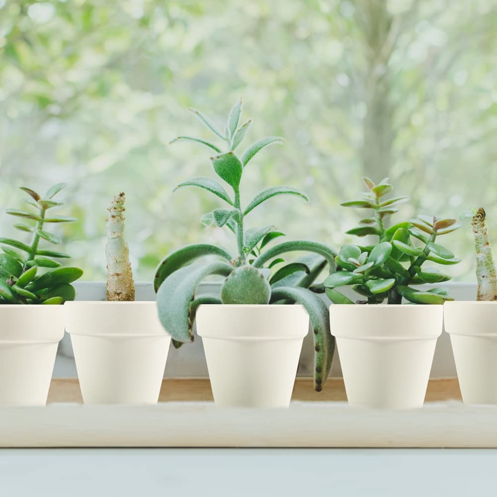Sderoq 3 Inch Terracotta Pots - 22Pack Clay Flower Pots with Drainage Hole, Succulent Nursery Pot/Cactus Plant Pot. Great for Plants, Crafts, Wedding Favorn, DIY Production (White)