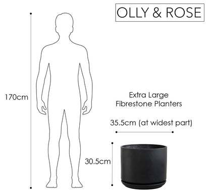 Olly & Rose Large Matt Black Plant Pot 14 Inch Extra Large Fibre Planter with Saucer - Large Indoor and Outdoor Plant Pot