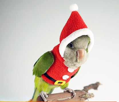 Bird Clothes Birds Flight Suit, Christmas Hoodie for Parrots Cockatiel Sun Conure Christmas Party Cosplay Photo Prop Bird Small Animals Apparel (Without Diaper,Green-cheeked Conure) Red