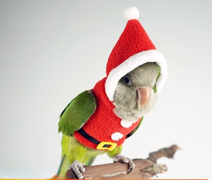 Bird Clothes Birds Flight Suit, Christmas Hoodie for Parrots Cockatiel Sun Conure Christmas Party Cosplay Photo Prop Bird Shirt Small Animals Apparel (with Diaper,African Grey)