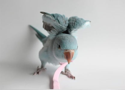 Pet Parrot Bird Harness Leash Adjustable Bird Flying Harness Traction Rope with Cute for Parrots Budgerigar Lovebird Cockatiel Mynah Outdoor Training Toy (Budgerigar/Lovebird,Pink)