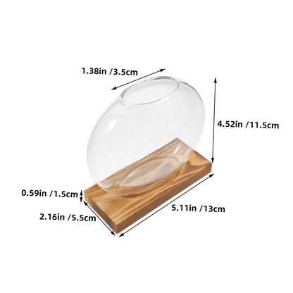 FUTUREORYY 2pcs Indoor Plant Vase with Wooden Base, Hydroponic Glass Planter for Propagation, Desktop Terrarium Suitable for Home and Office Décor