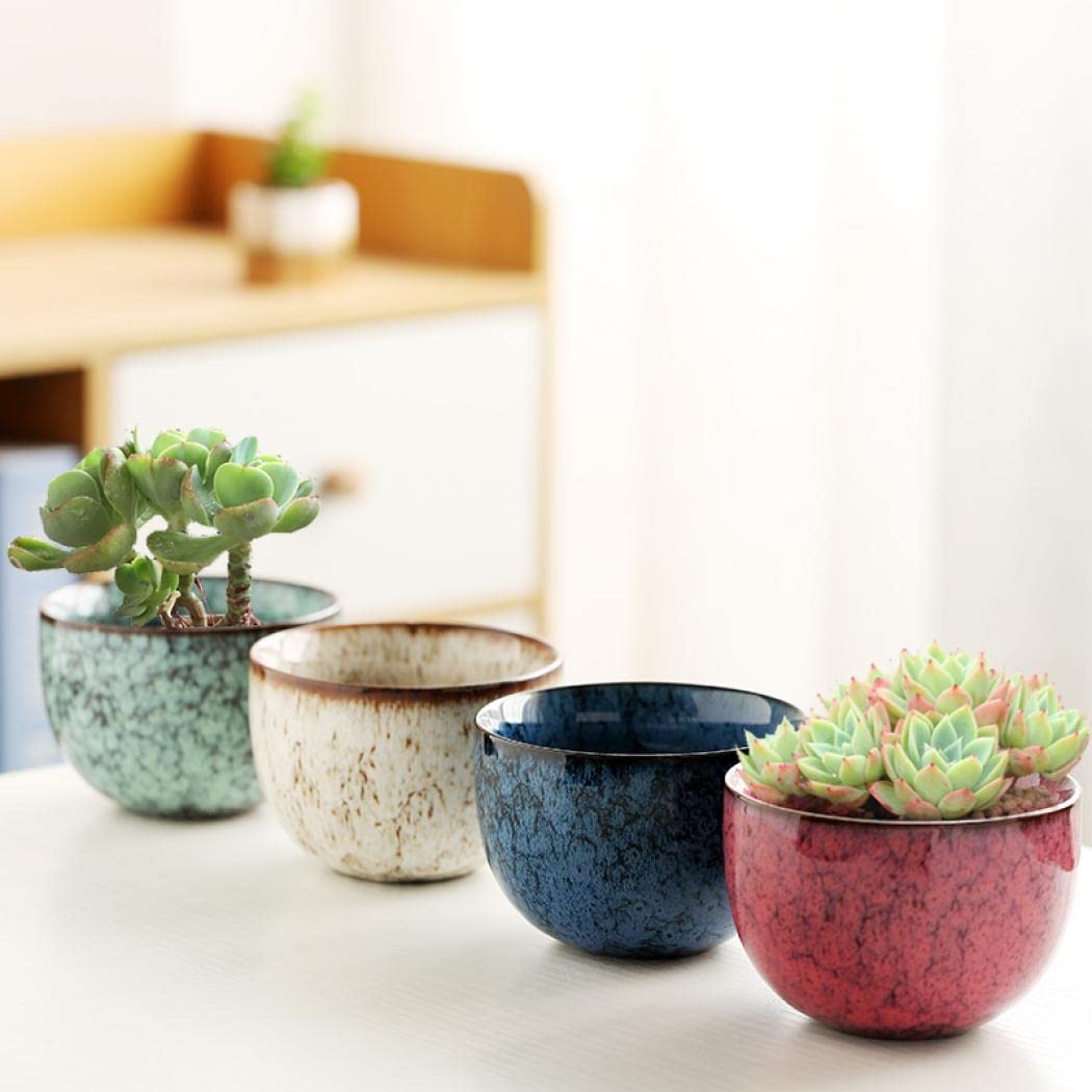 YYW Ceramic Plants Pots 3 Inch Set of 4 Flower Pots with Drainage and Bamboo Tray for Indoor/Outdoor Small House Plants,Foliage Plant (Set 2)