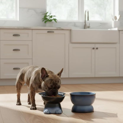 Nihow Dog Food & Water Bowls: Elevated Ceramic Bowls for Medium/Small Dog | Food Safe Raised Puppy Bowls - Gray Pet Bowl for Protecting Pet's Spine (Set of 2)