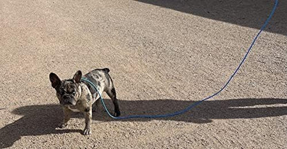 Piggy Poo and Crew 12 Foot Mini Pig Harness Adjustable Harness & Leash for Animals Pigs Ferrets Rabbits Guinea Pigs Dogs Cats Reptile Rodents Small Animals (Blue)