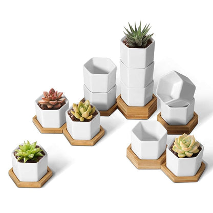 T4U Mini White Succulent Planter Pots with Bamboo Tray Hexagon Set of 12,Tiny Geometric Ceramic Cactus Plant Holder, Plant Gifts for Gardener Women Coworker, Home Office Table Desk Decoration