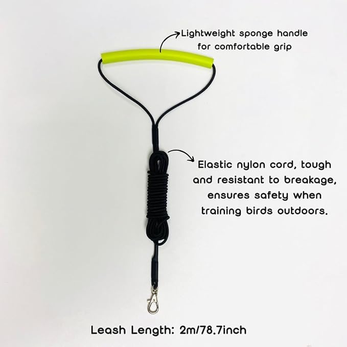 Adjustable Bird Harness with Elastic Leash, Pet Parrot Harness and Leash, Adjustable Training Design Anti-Bite, Bird Nylon Rope with Cute Wing for Conure (Light Blue,L)