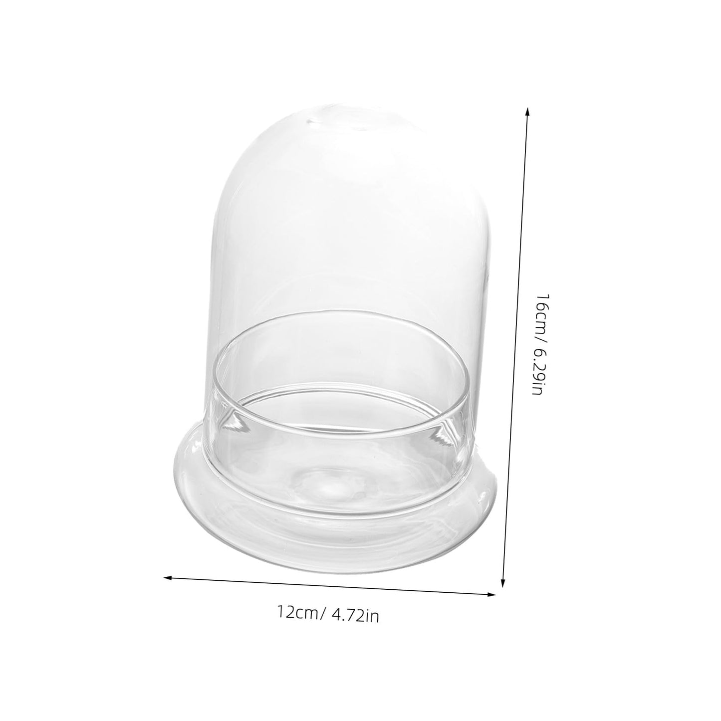 OUNONA Moss Ecosystem Bottle DIY Miniature Terrarium Glass Bottle Decorative Plant Vase for Home and Office Desktop Plant Container