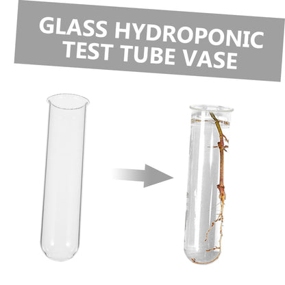HOLIDYOYO 4pcs Hydroponic Glass Test Tube Planter Elegant Terrarium Flower Vase for Decor Container for Plant Propagation and Display