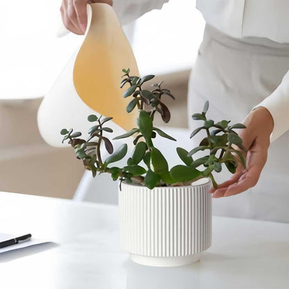 Houlu Set of 3 White Ceramic Plant Pots (7.8/6.5/5.1 inch) with Drainage, Small Flower Planter for Indoor and Outdoor Plants