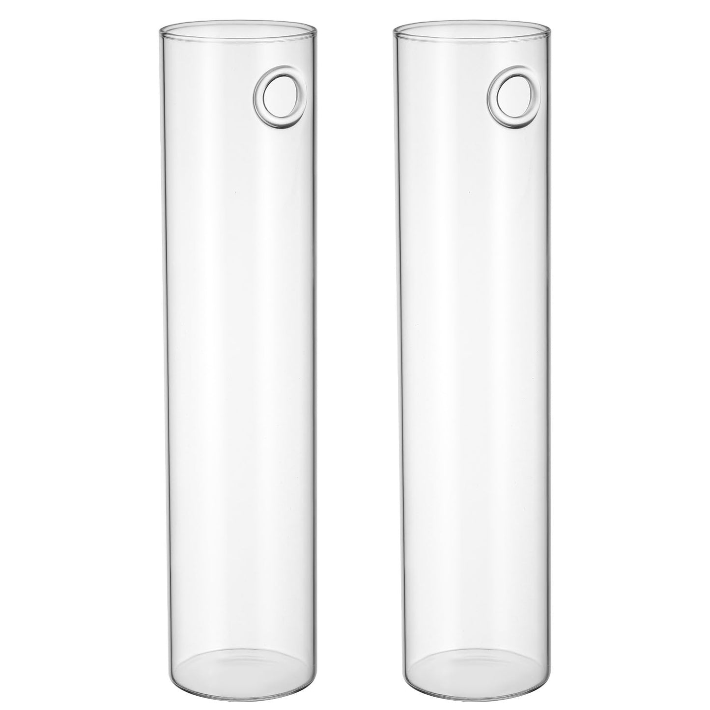iplusmile 2pcs Large Glass Tube Wall Vases for Hydroponic Plant Propagation, Hanging Glass Terrarium Plants Holder, Modern Wall-Mounted Flower Vases for Indoor Home Décor